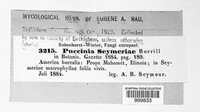Puccinia seymeriae image